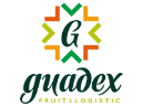 Guadex