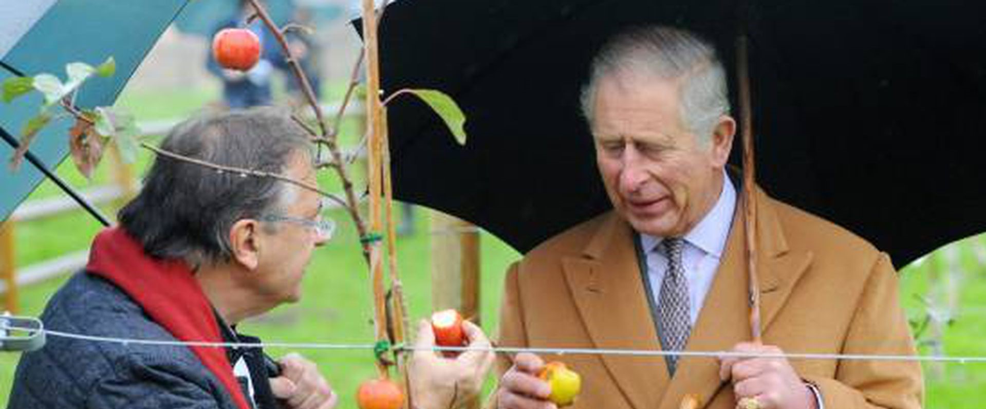 Carlos III, nuevo Rey de Inglaterra, un pionero de la producción ecológica