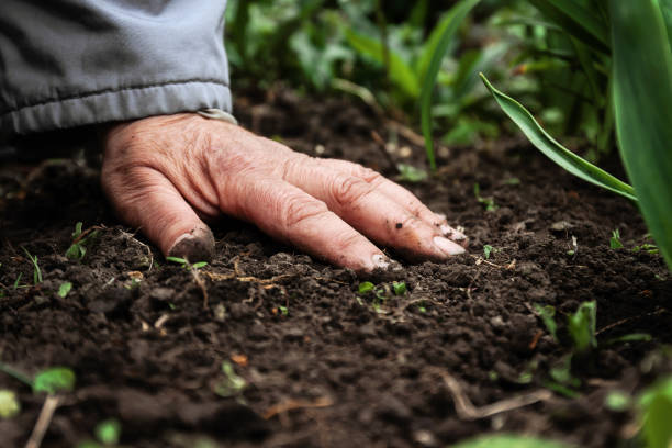 Webinar: La Transición Agroecológica, un puente hacia la agricultura del futuro