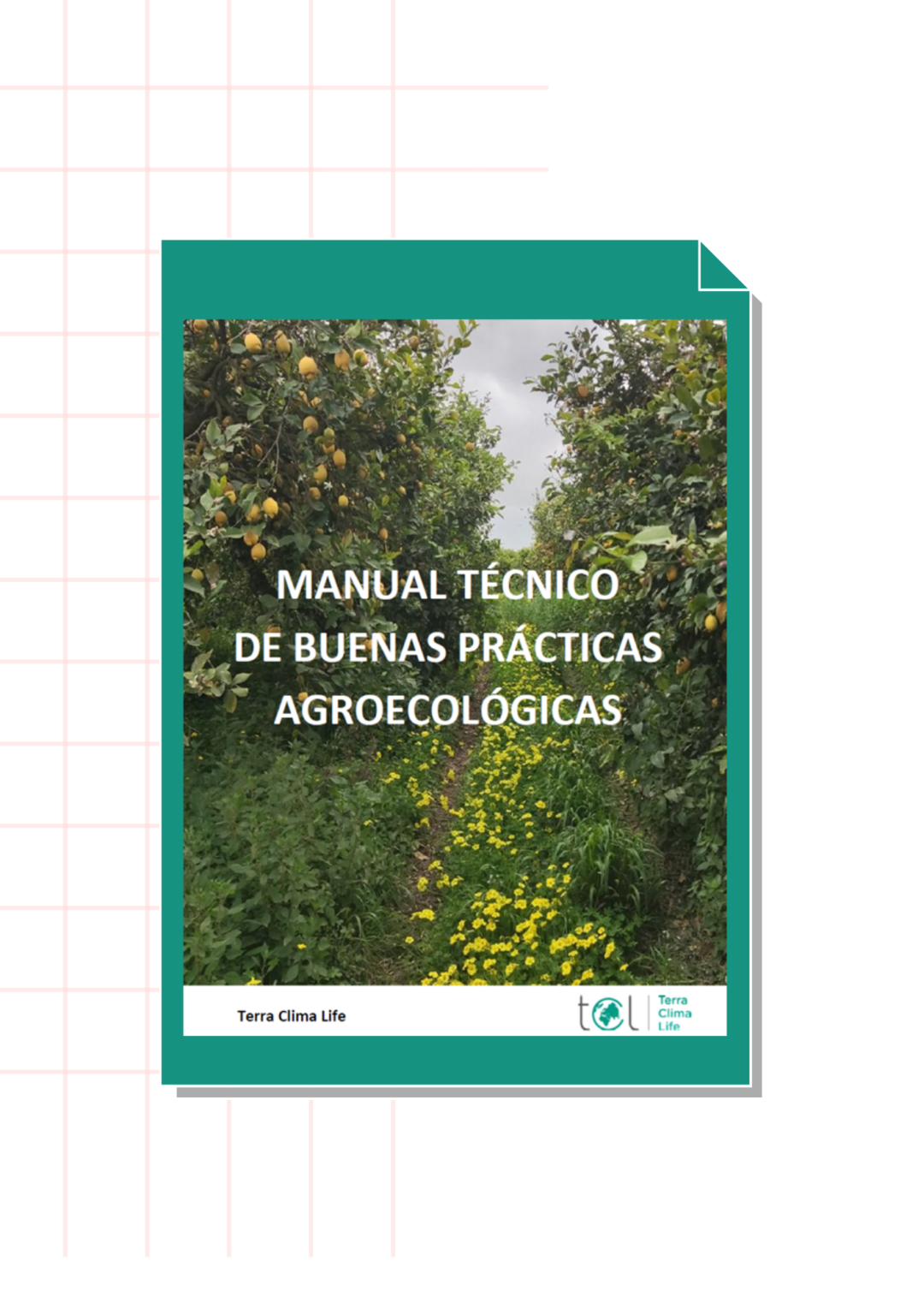 Manual Técnico de Buenas Prácticas Agroecológicas_2022_TCL