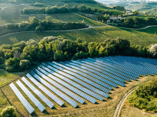 El Real Decreto 214/2025: Claves para la huella de carbono en el sector agroalimentario