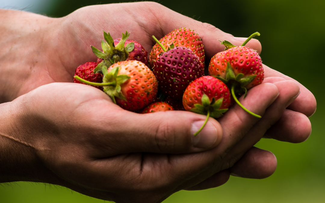 ¿Por qué el consumidor paga más por lo ecológico? Claves de percepción de valor