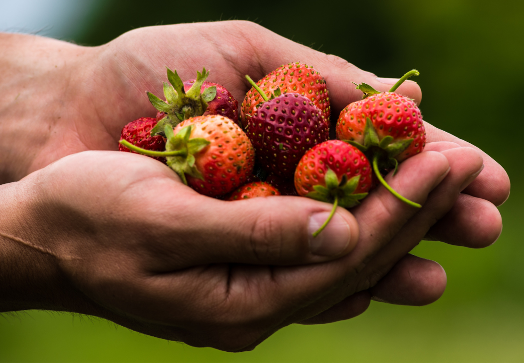 ¿Por qué el consumidor paga más por lo ecológico? Claves de percepción de valor